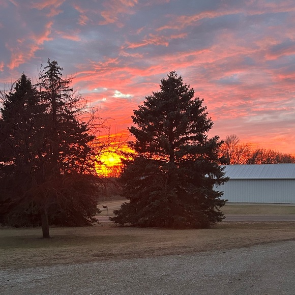 JULIA - Picture 1 of 1